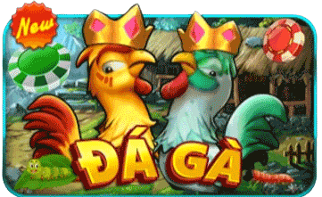 dagav99
